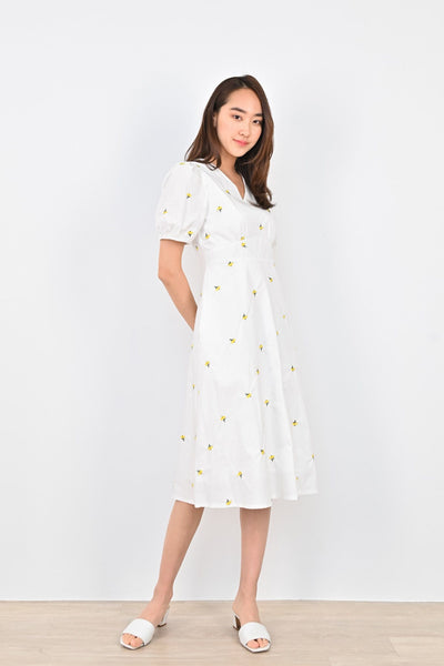 AWE Dresses TRISE EMBROIDERY DRESS IN WHITE